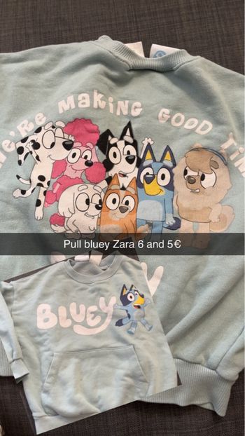 Pull Zara bluey 6 ans 