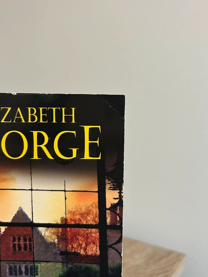 Livre Elizabeth George Mémoire infidèle - photo numéro 7