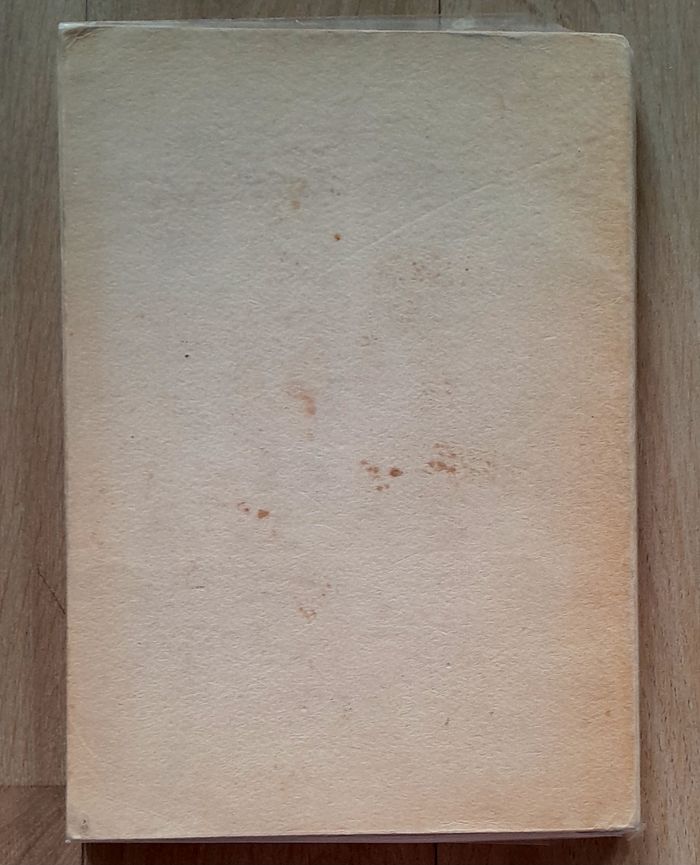 Jacques Sabille - Lueurs dans la tourmente (histoire) - photo numéro 4