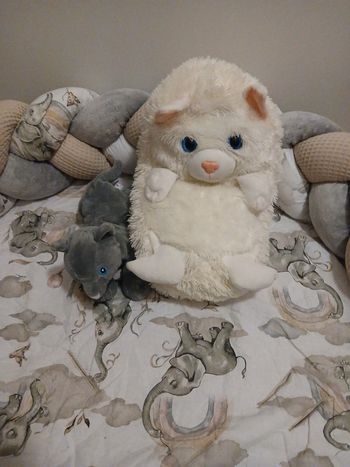 Peluches chat