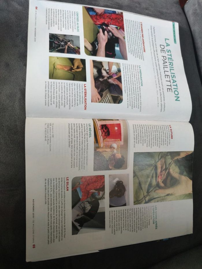 Magazine 30 millions d'amis numéro 378 novembre 2019 - photo numéro 11