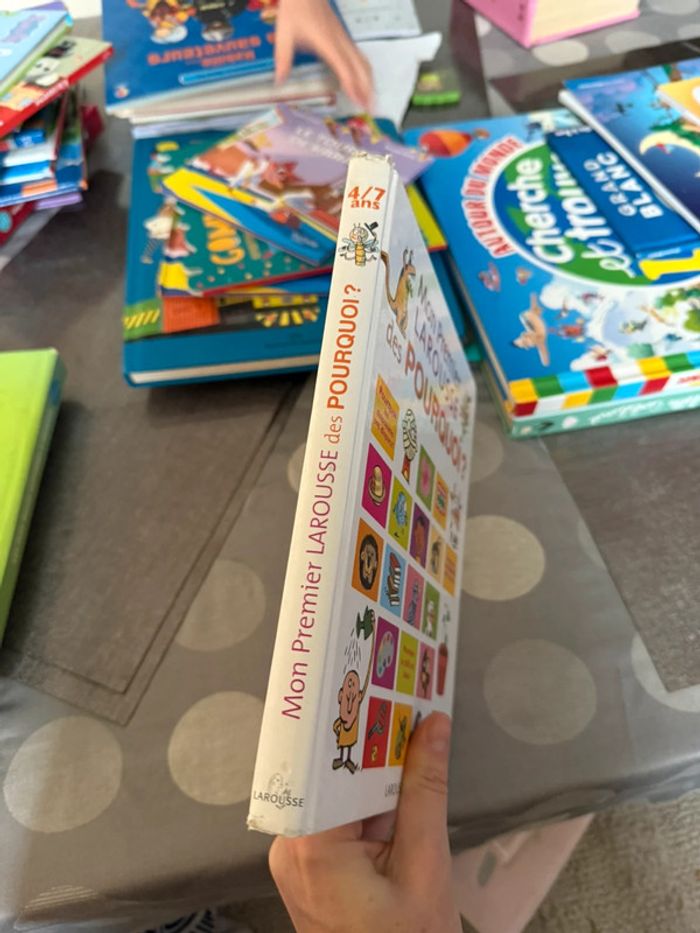Mon premier Larousse des pourquoi - photo numéro 3