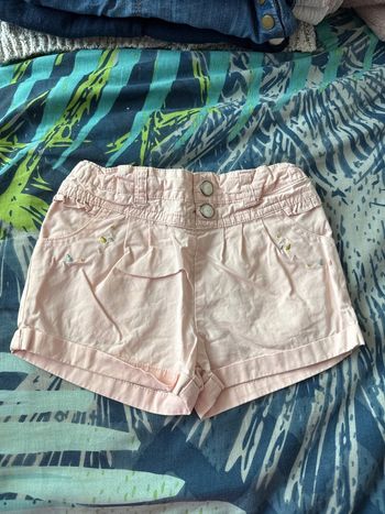 Short rose sergent major 9 mois