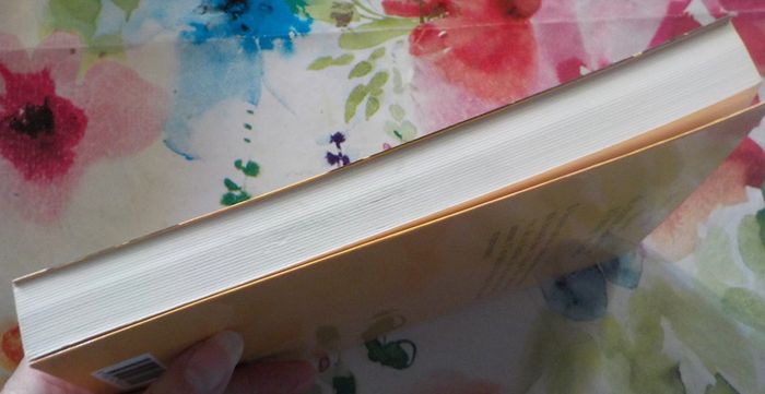 Manuel de chasse et de pêche à l'usage des filles de Melissa Bank Ed Rivages - photo numéro 5