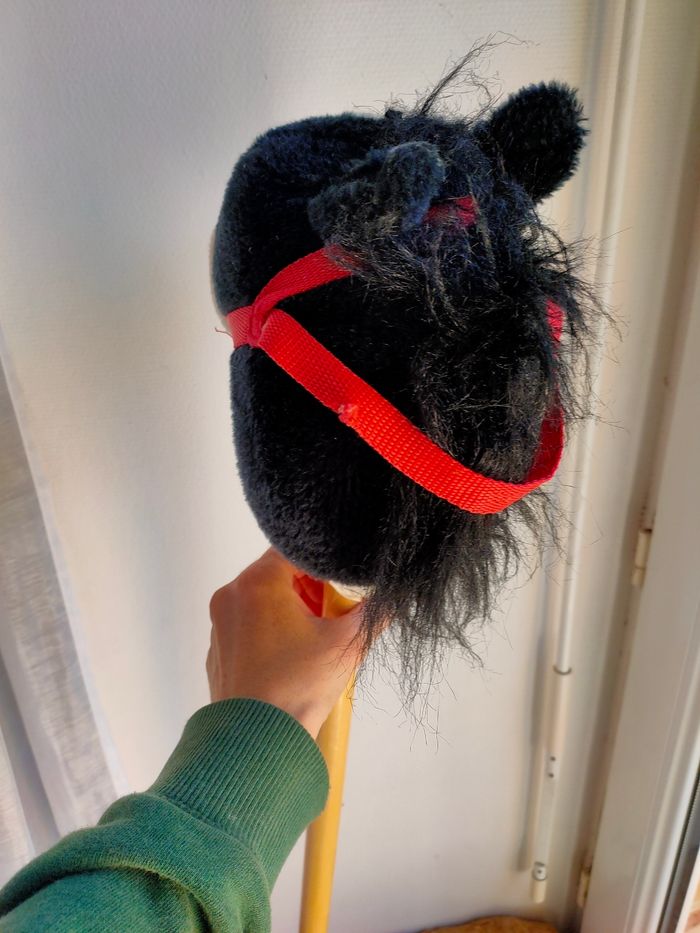 Bâton cheval noir - photo numéro 6