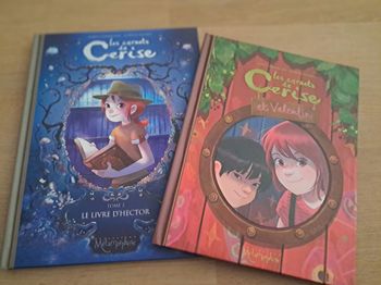 Lot de livres Les carnets de Cerise