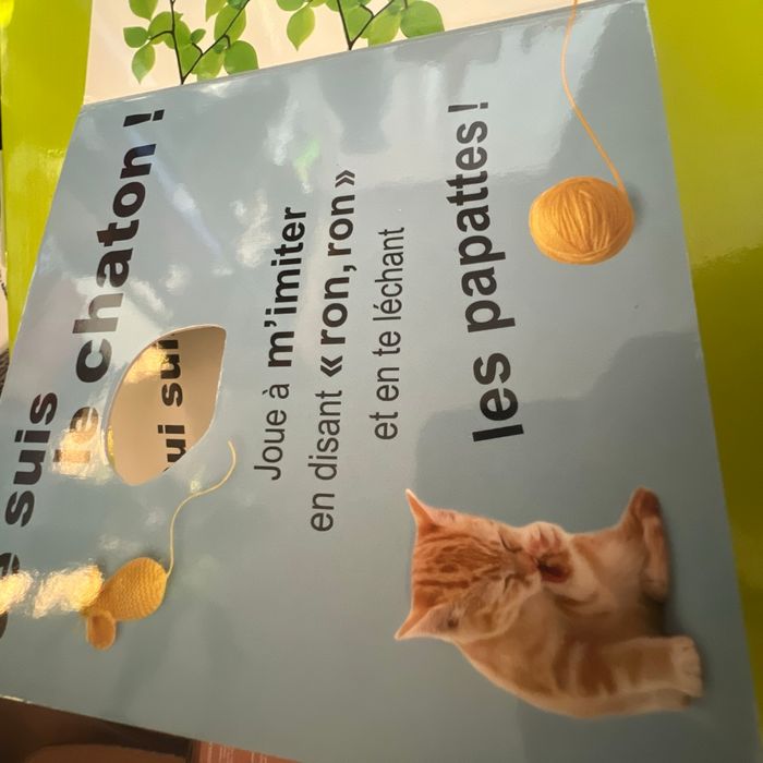 Livre bébé animaux - photo numéro 5