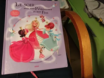 Livre le soir avec mes princesses et mes fées 40 contes classiques et modernes