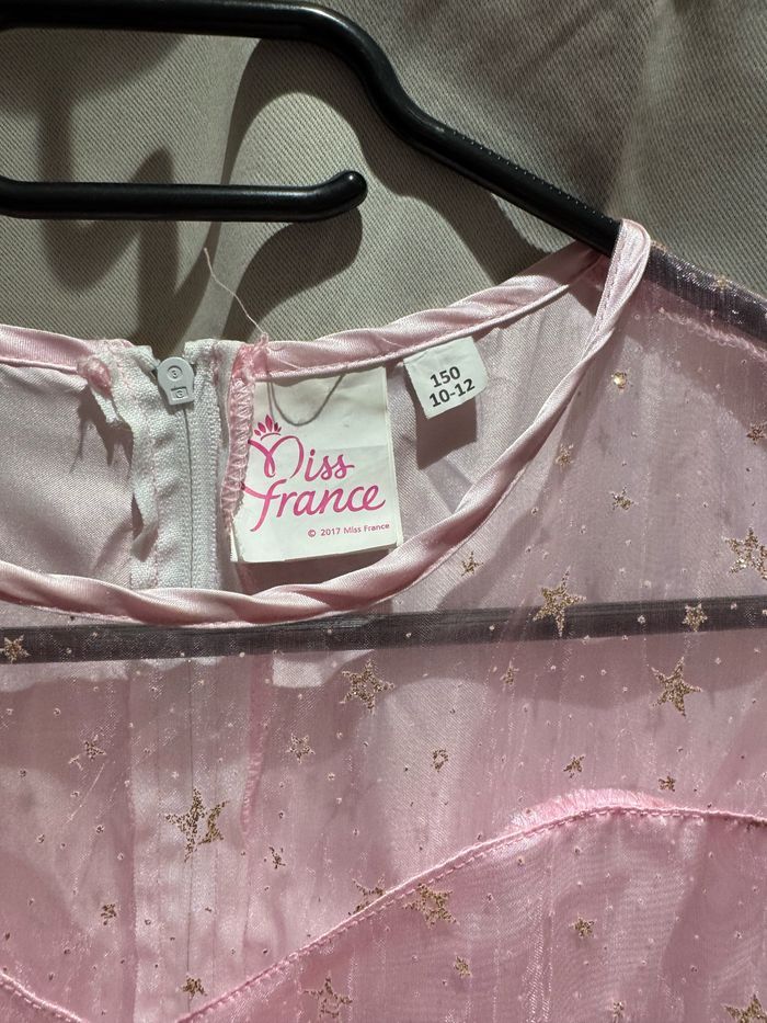 Déguisement miss France - photo numéro 3
