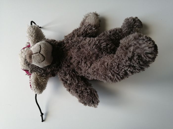 peluche ours - photo numéro 6