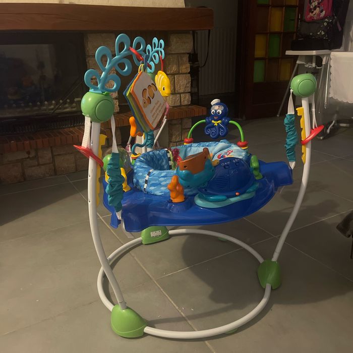 Baby Einstein - photo numéro 2