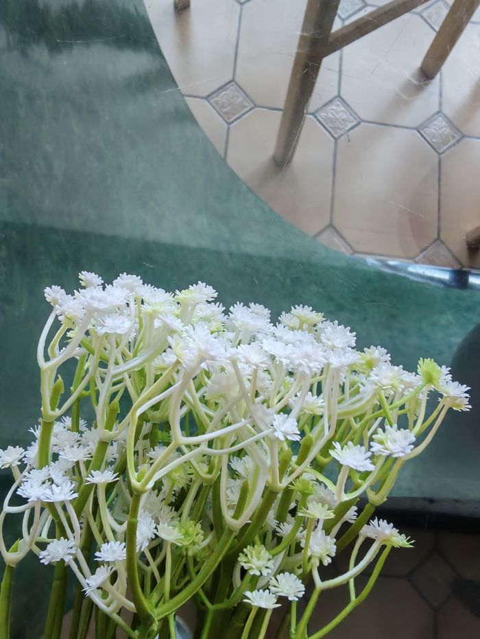 Bouquet de gypsophiles - photo numéro 3