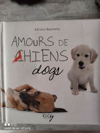 Livre  des amours de chiens