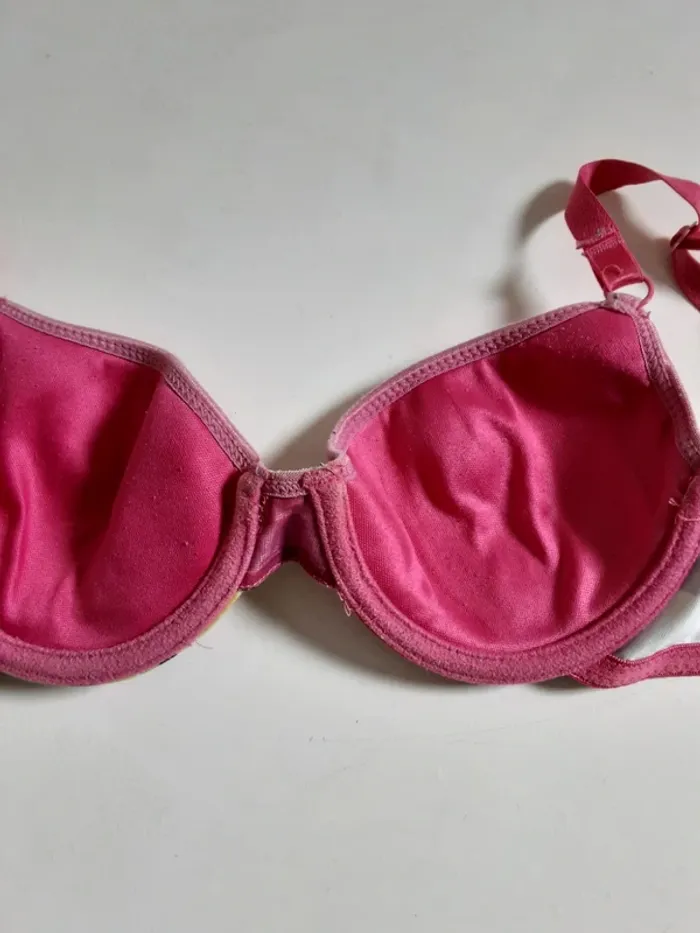 Soutien gorge avec des fruits - photo numéro 3