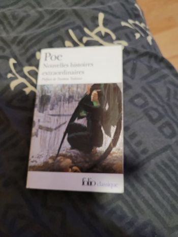 Nouvelles histoires extraordinaires Poe