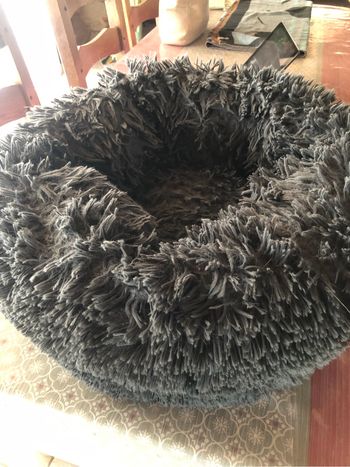 Coussin dodo animaux