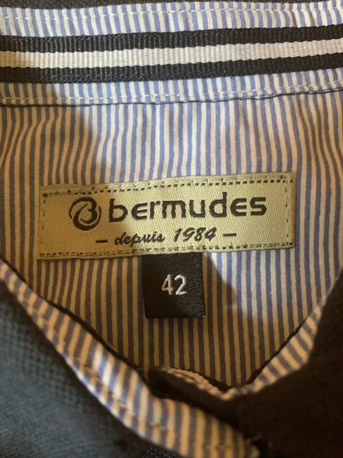 Polo Bermudes - photo numéro 3