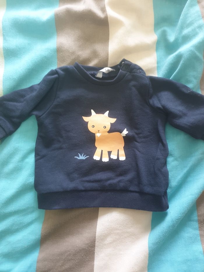 Ensemble - photo numéro 5