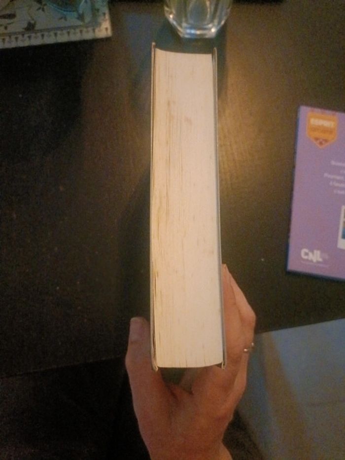 Livre Anne d avonlea - photo numéro 4