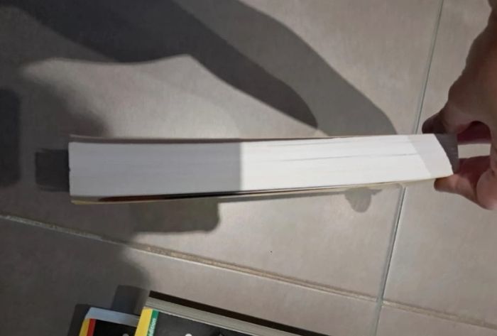 La géopolitique pour les nuls - photo numéro 4