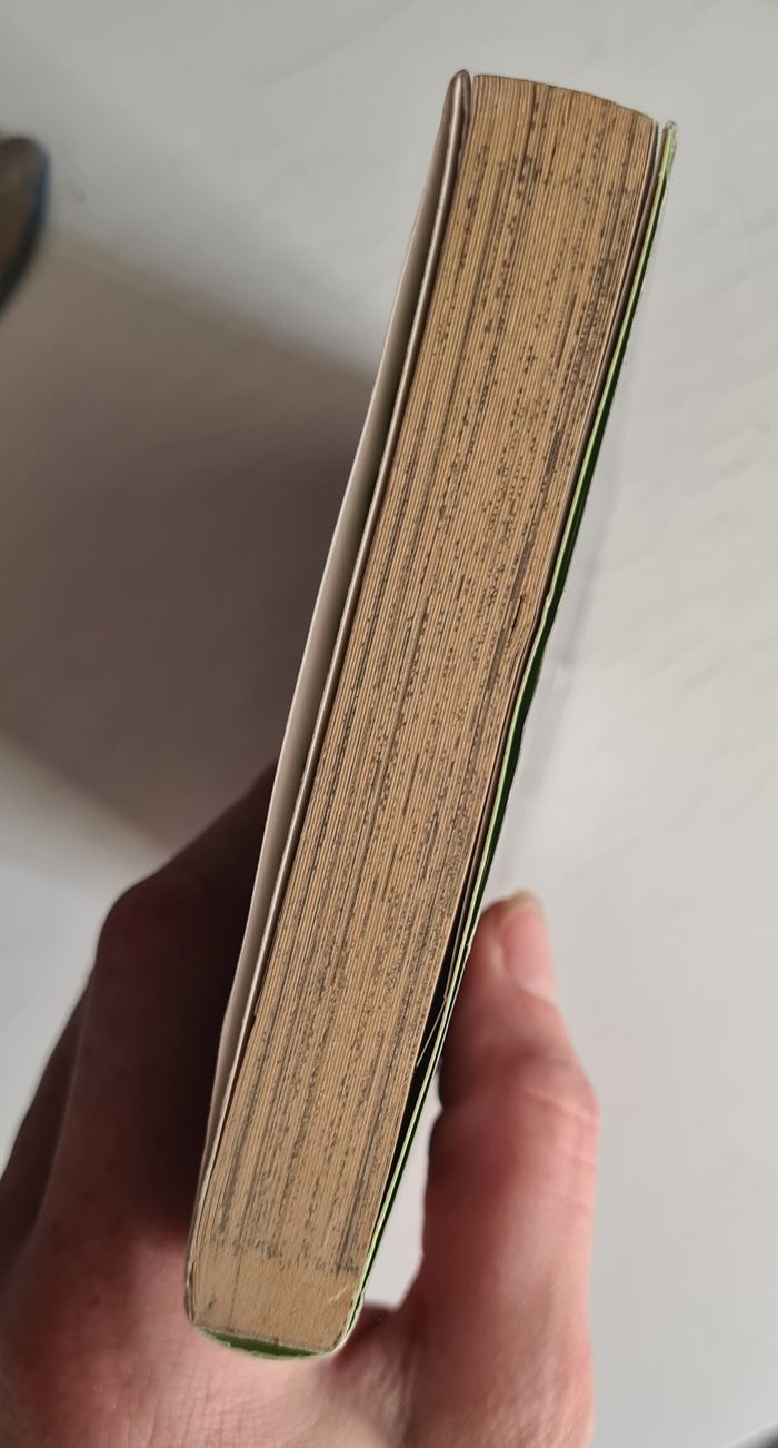 One piece - photo numéro 4