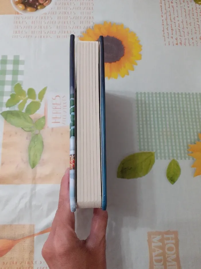 Mon premier livre de Noël - photo numéro 8