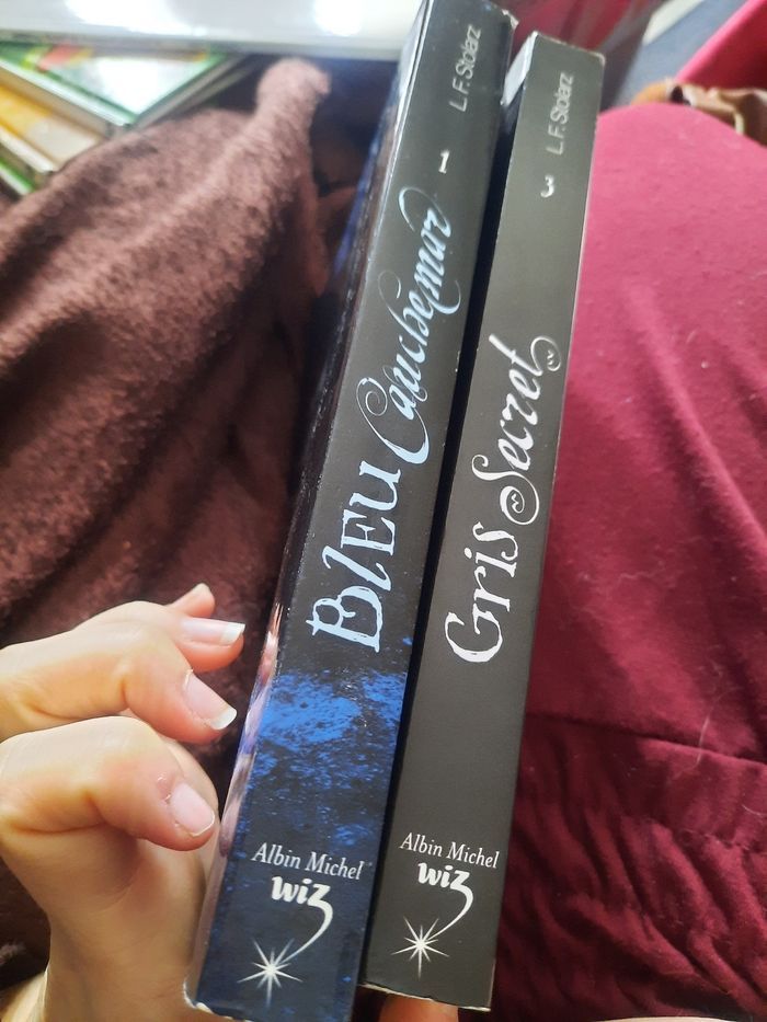 Tome 1 et 3 Laurie farine stolarz gris secret bleu cauchemar - photo numéro 6