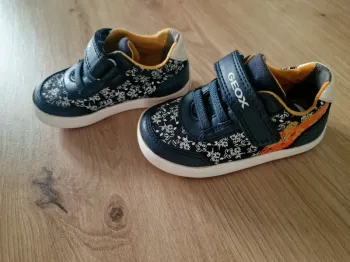 Basket Geox