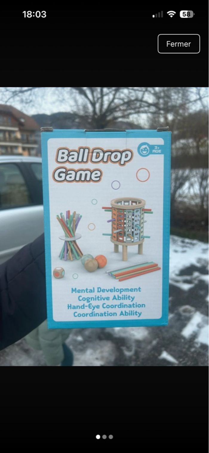 Bal drop game - photo numéro 2