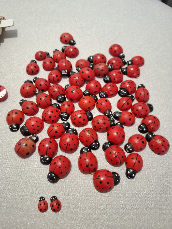 Joli lot mini pinces à linge et coccinelles en bois autocollantes neuf - photo numéro 5