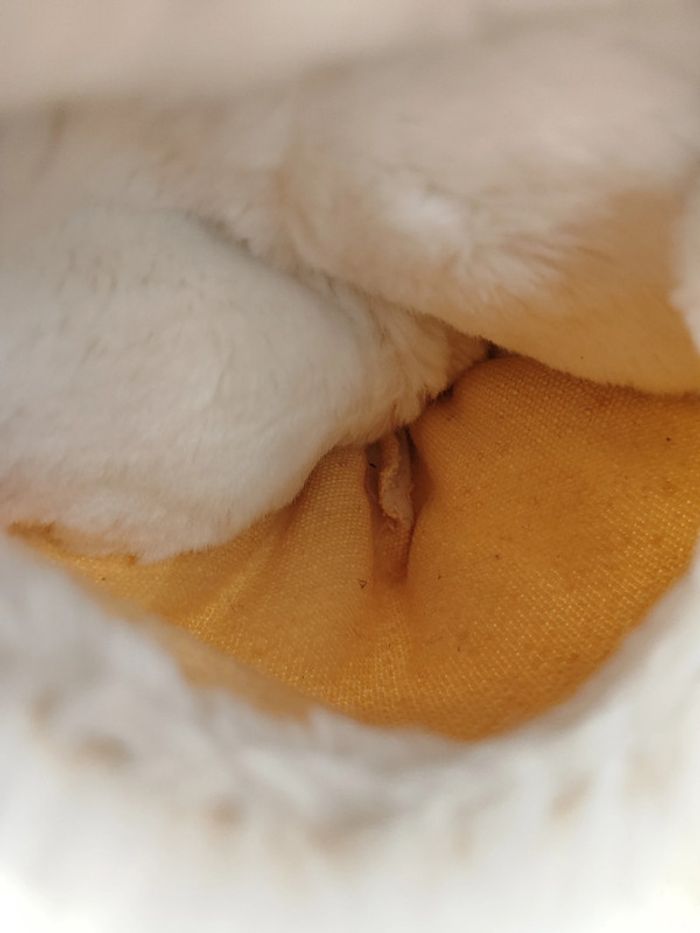 Peluche kangourou boulgom - photo numéro 3