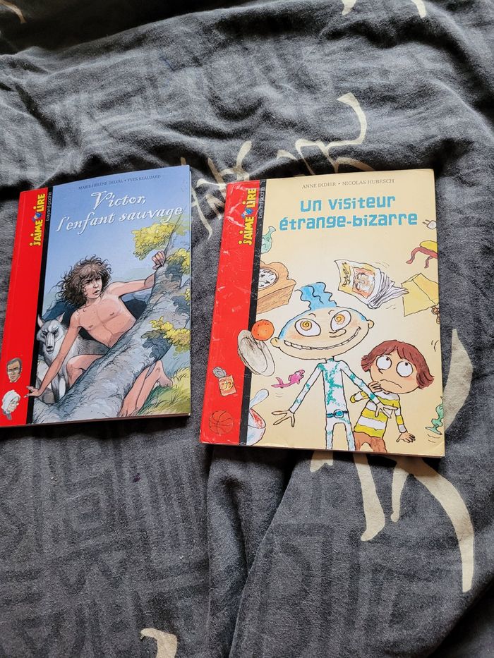 Livres "j aime lire" - photo numéro 9