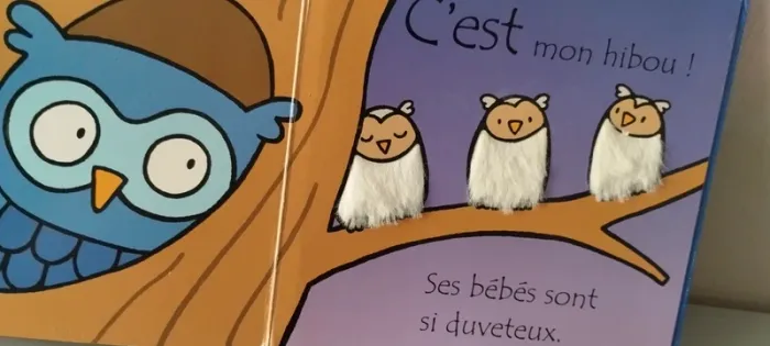 Où est mon hibou ? - photo numéro 6