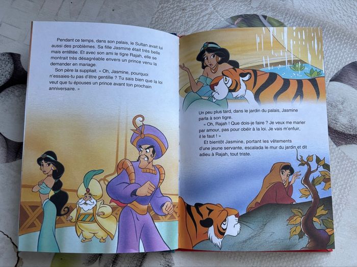 Livre Disney - photo numéro 3