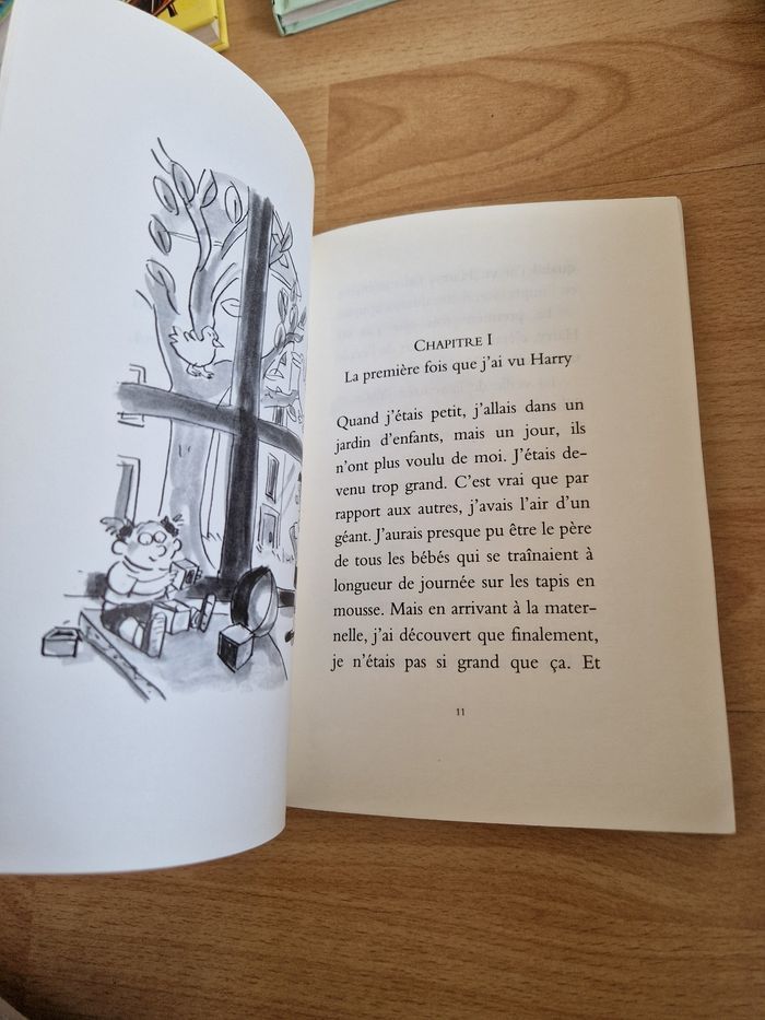 Benjamin le héros solitaire / roman enfant - photo numéro 4