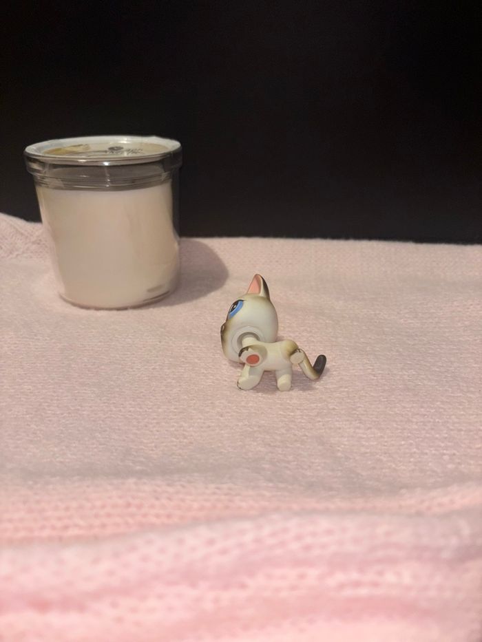 siamois #5 - photo numéro 4