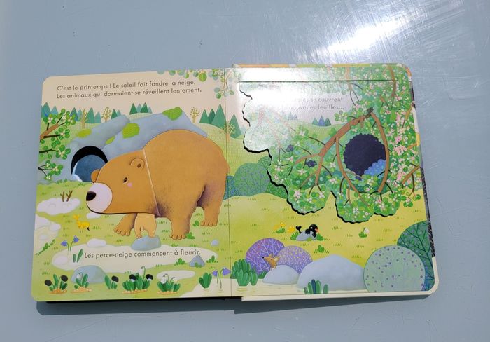Usborne, livre collection coucou 🌲 Coucou! La Forêt 🍁 - photo numéro 10