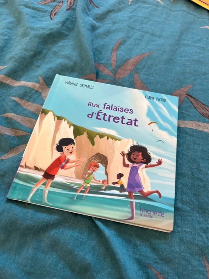Livre aux falaises d’Étretat collection merveilles de France