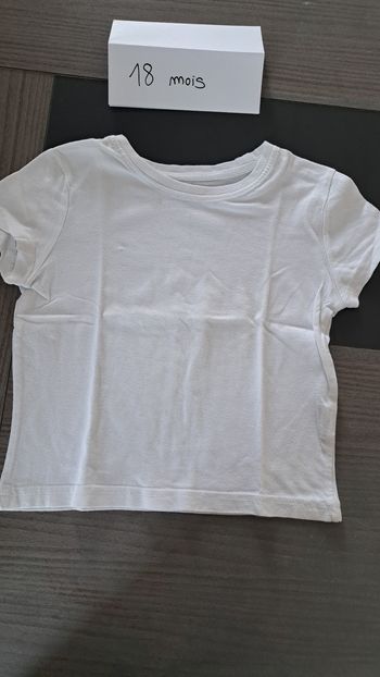 Tshirt manches courtes