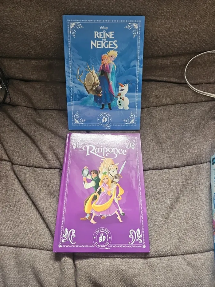 2 livres bd disney reine des neiges et raiponce