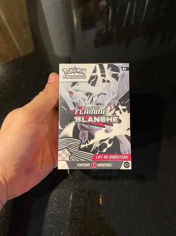 Pokemon neuf Bundle EV10.5 Flamme Blanche