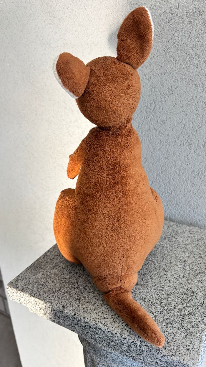 Kangourou avec bébé - photo numéro 4