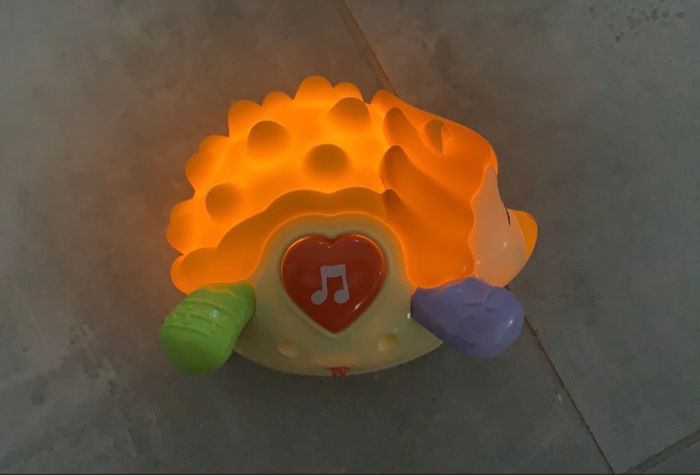 Picoton le hérisson - photo numéro 3