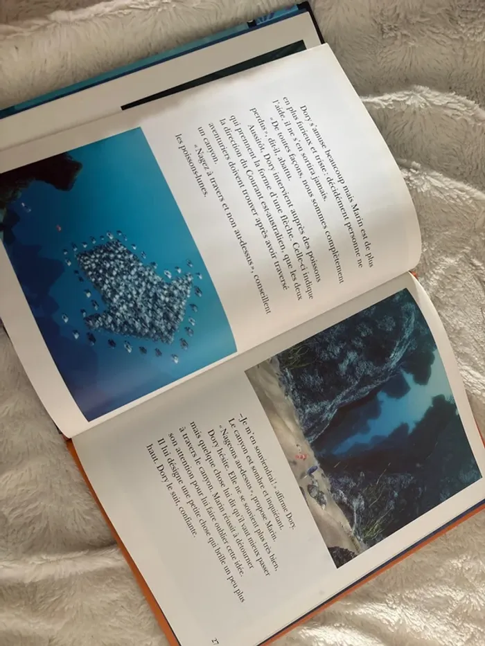 Le monde de nemo - photo numéro 3