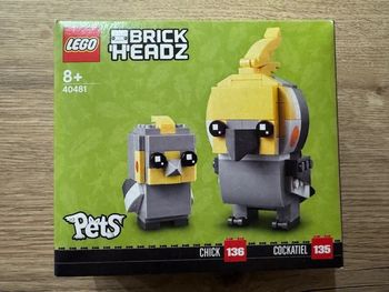 LEGO 40481 : La perruche calopsitte