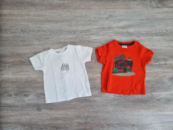 Tee shirts 12 mois