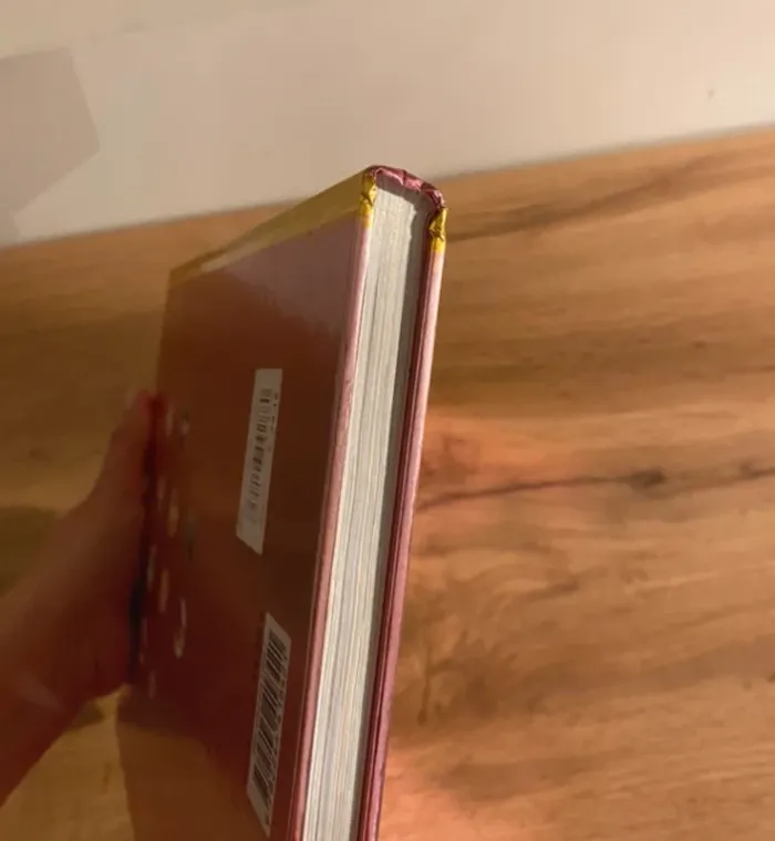 Lot de livres princesses - photo numéro 15