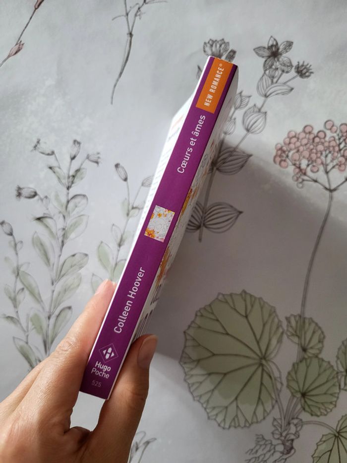 Coeurs et âmes de Colleen Hoover - photo numéro 3