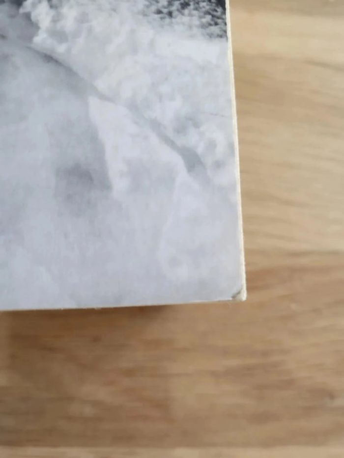 Livre broché de Dan Simmons l'abominable - photo numéro 4
