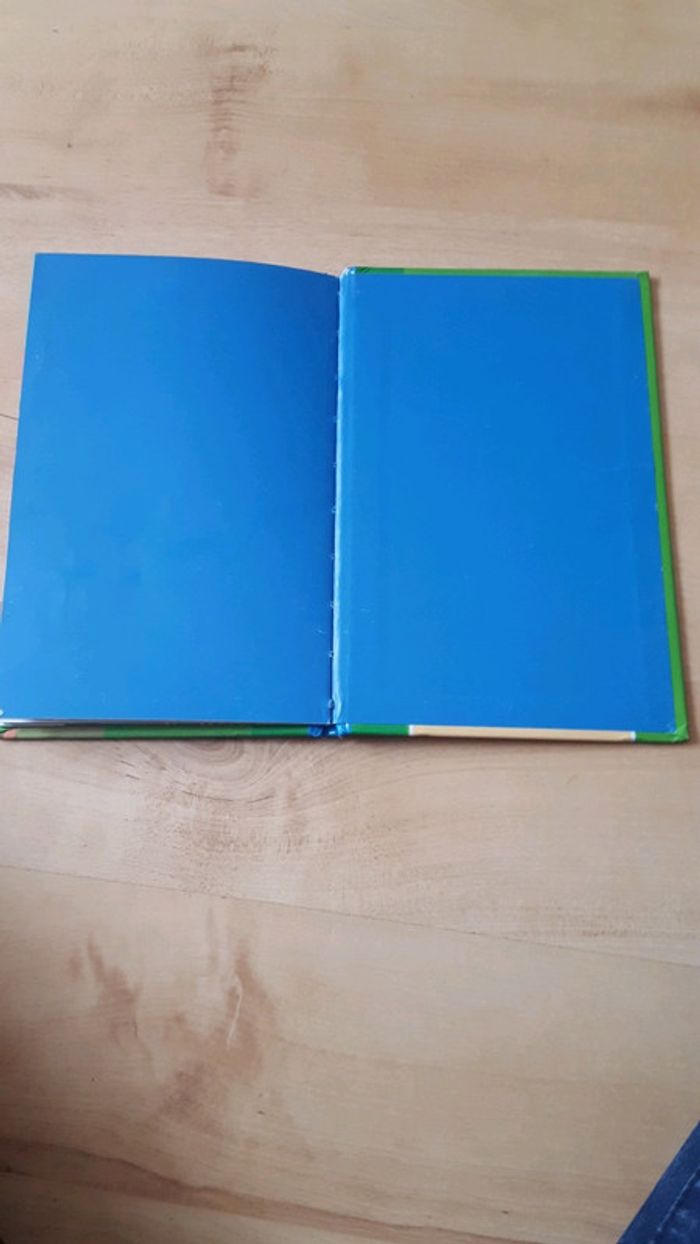 Livre aladin - photo numéro 3